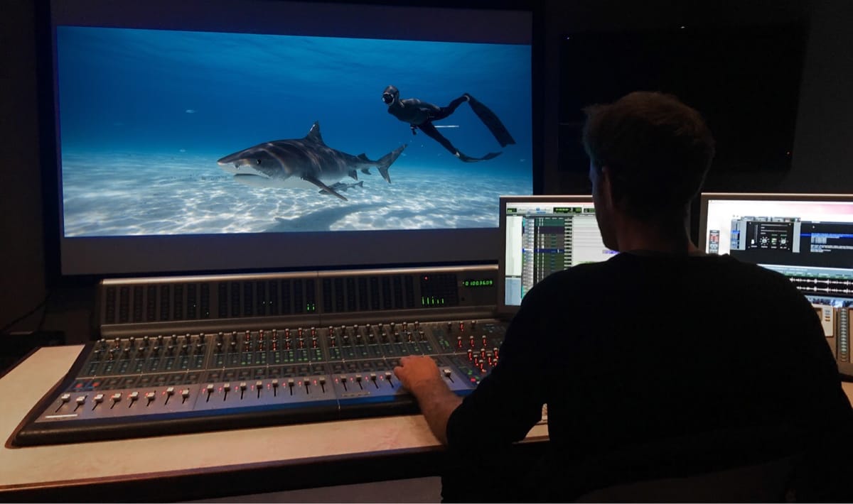 Filmmaker reviewing the fine cut of a documentary on location