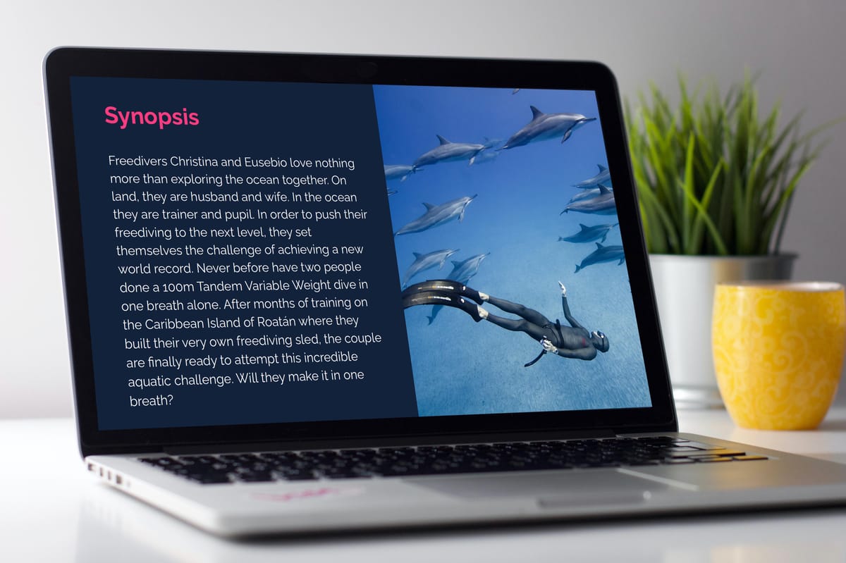 Documentary treatment logline and story summary example