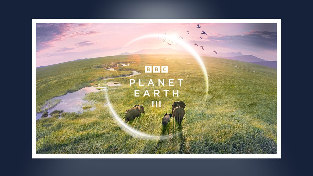 Planet Earth documentary showing elephants in an African landscape