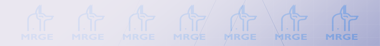 Launch of MRGE