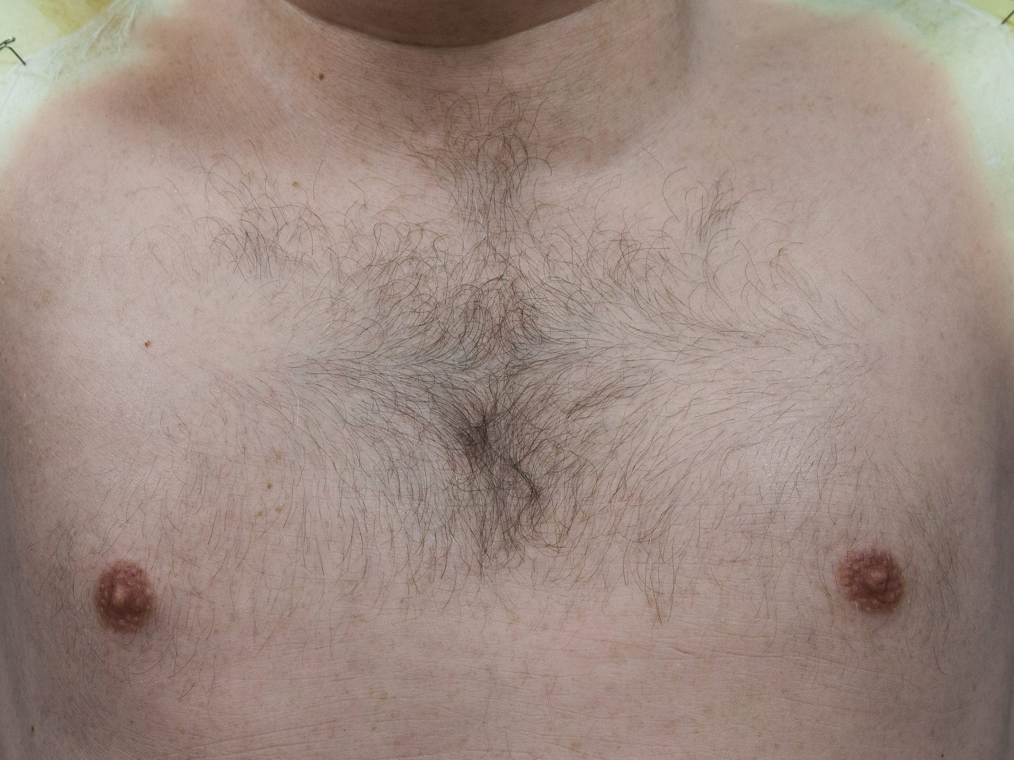 Silicone chest piece with hand-punched chest hair by David Malinowski