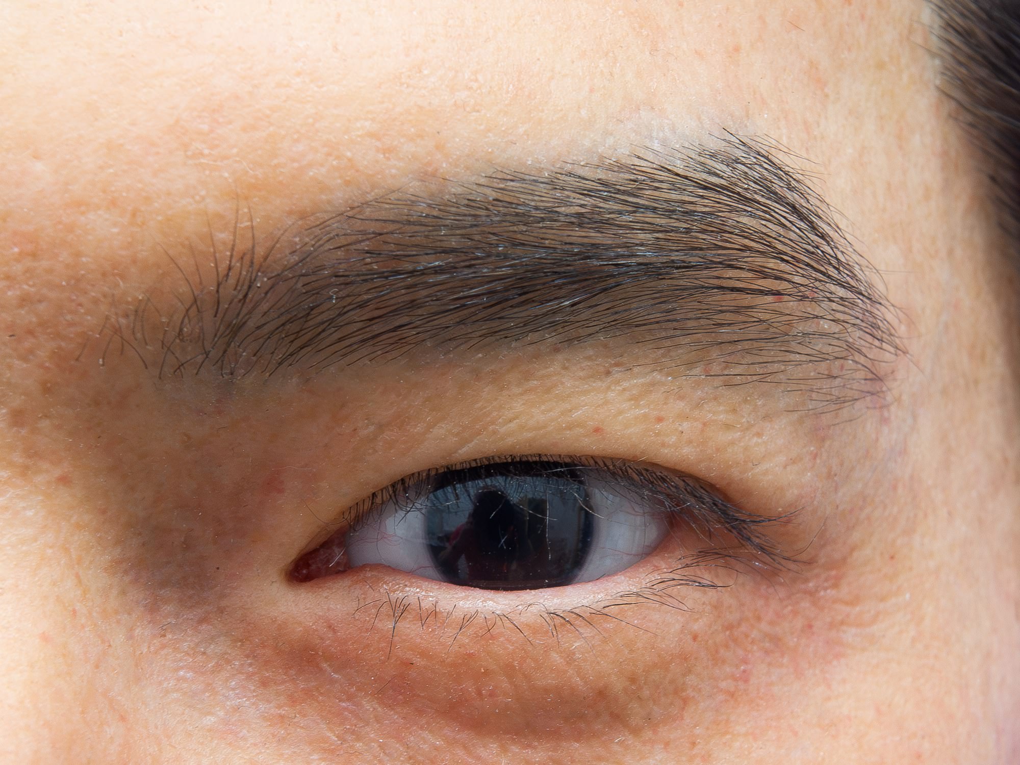 Close-up of a hand-punched eyebrow and eyelashes on a silicone face by David Malinowski