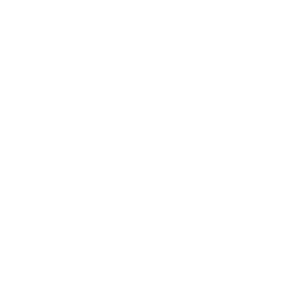 Negida Academy Logo