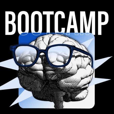 Live bootcamp