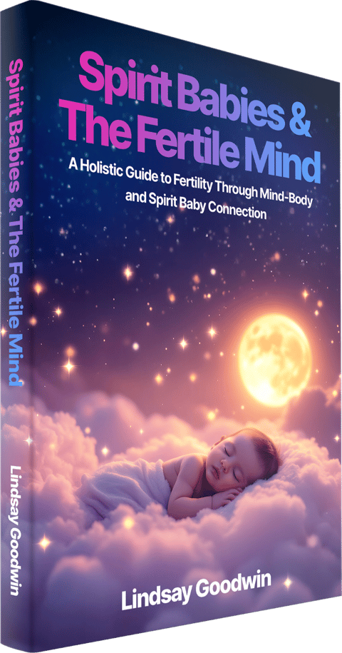 Spirit Babies and the Fertile Mind book by Lindsay Goodwin
