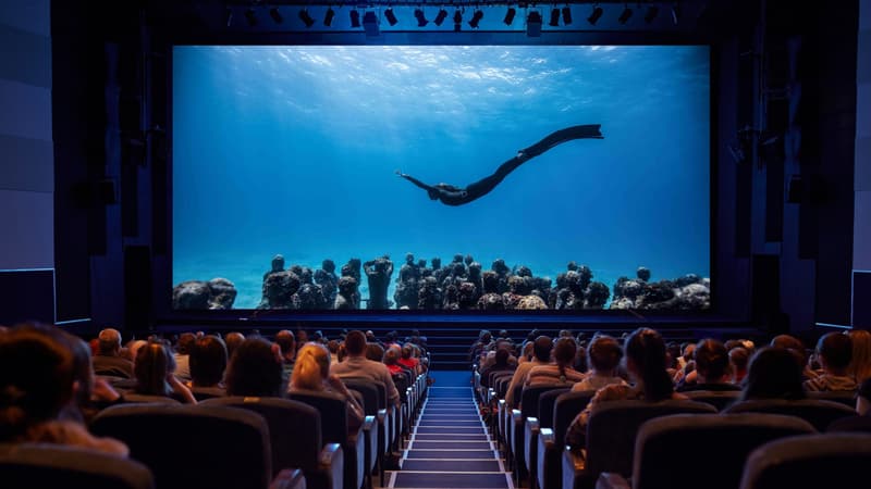 A documentary screening to a full cinema