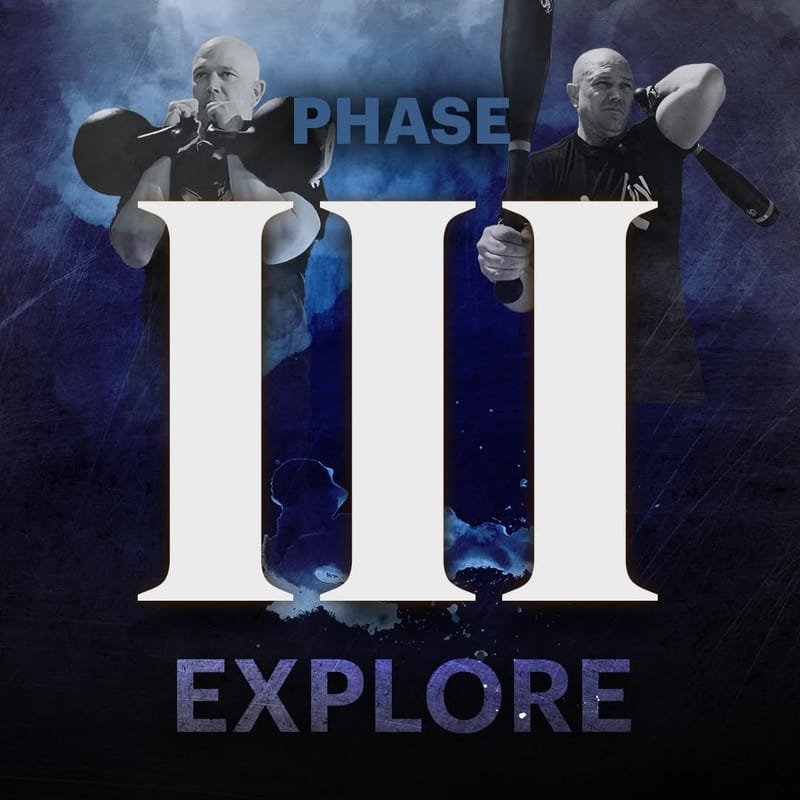 Phase 3