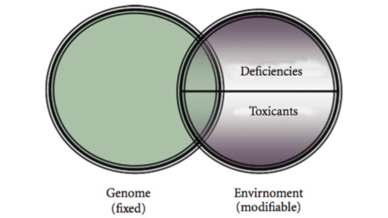 Session 1: The Roots of Disease course illustration