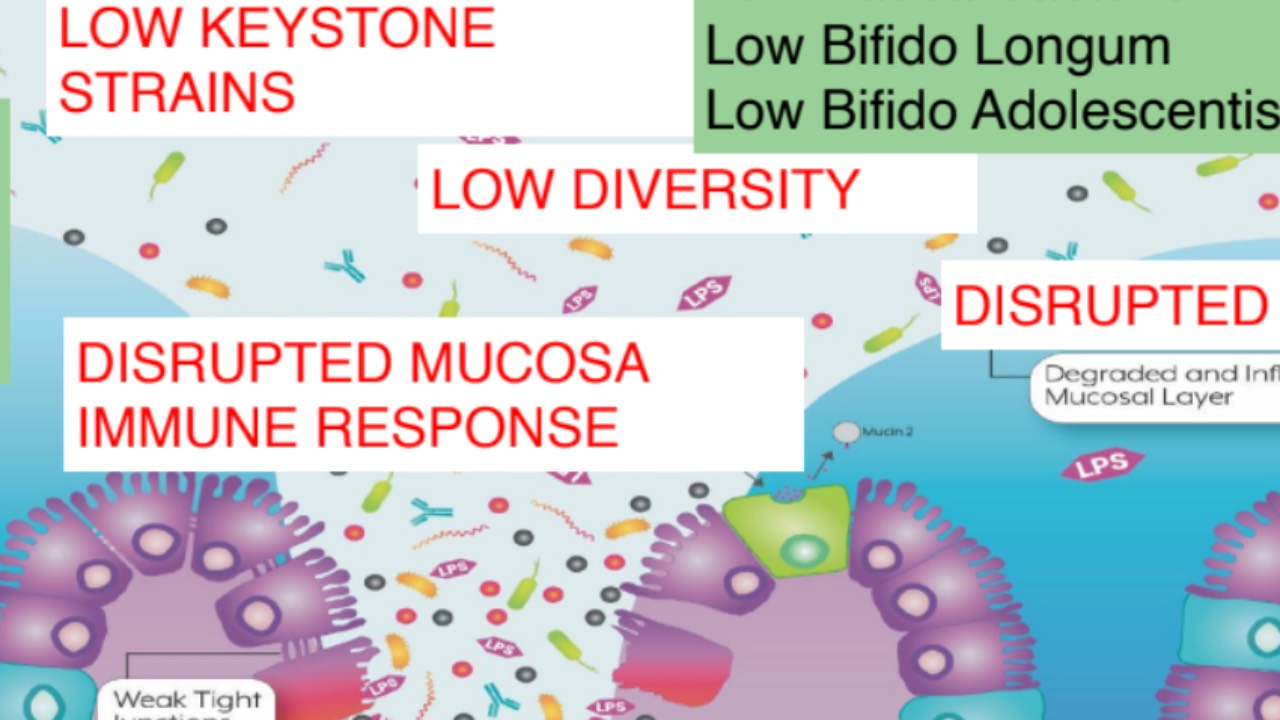 Session 3: Microbiome Balancing course illustration