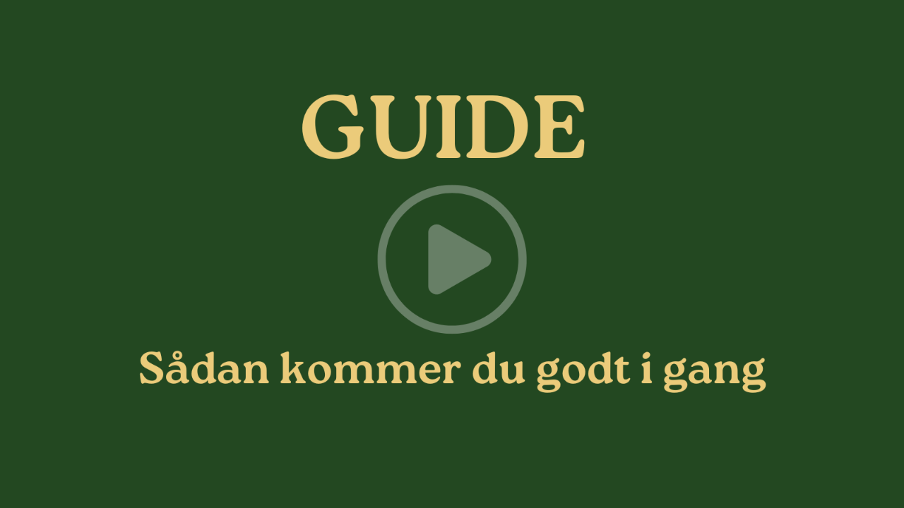 Rundvisning