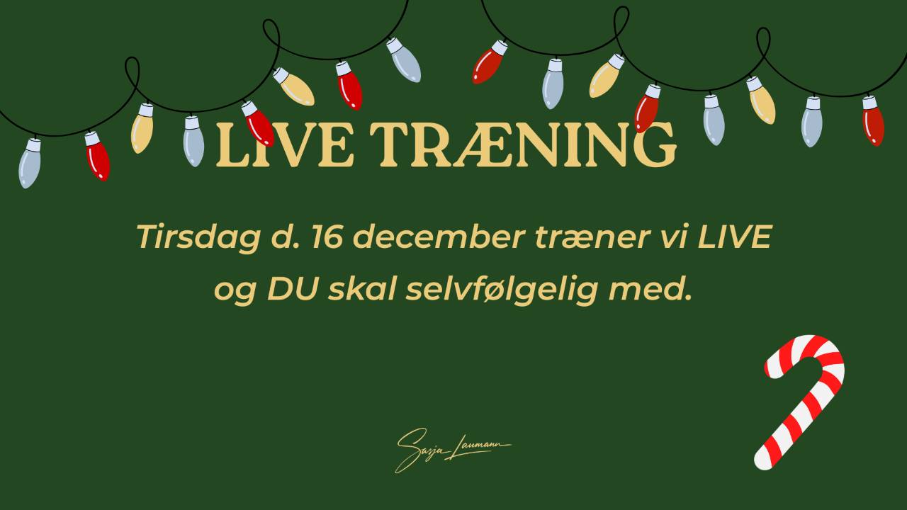 LIVE - 16. december 2025