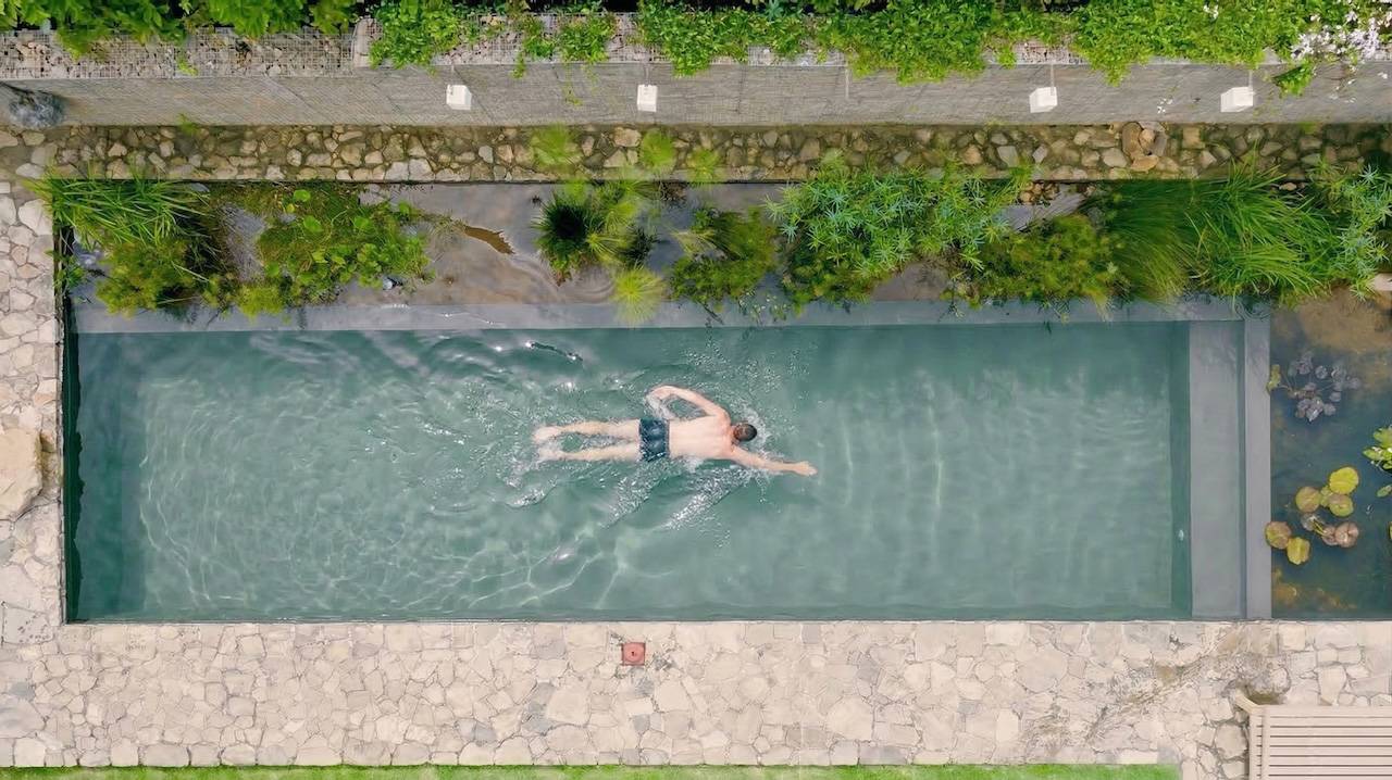 A formal natural lap pool seen from above, swimmer in the swim zone, planted wetland along the long side