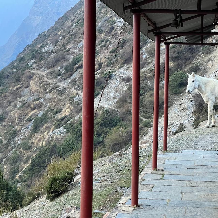 Mu Monastery, Tsum Valley Nepal