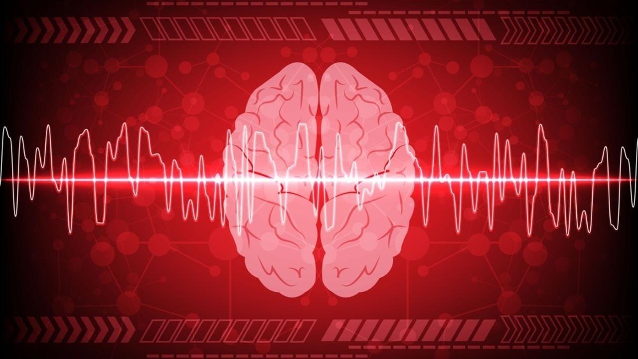 Red vs. Near-Infrared (NIR) vs. Far-Infrared (FIR) Light Therapy: What –  GembaRed