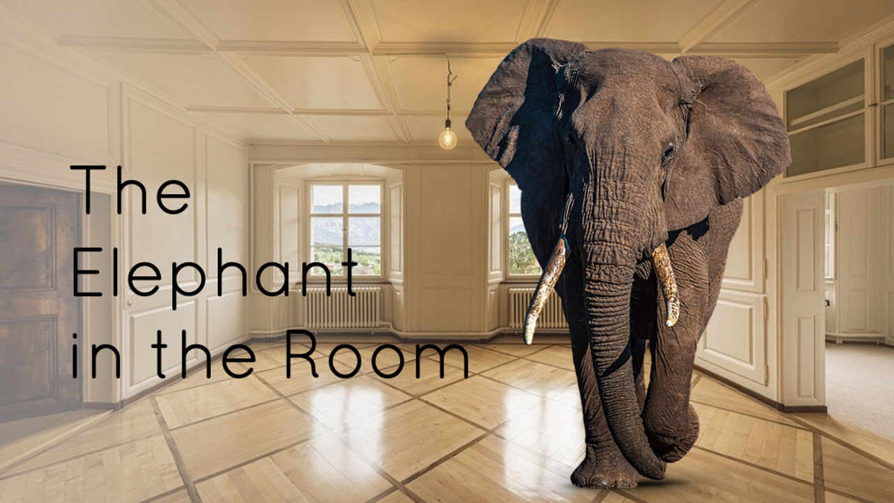 The Elephant In The Room