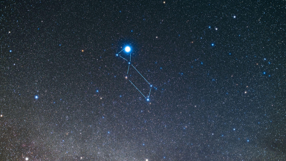 Vega Star