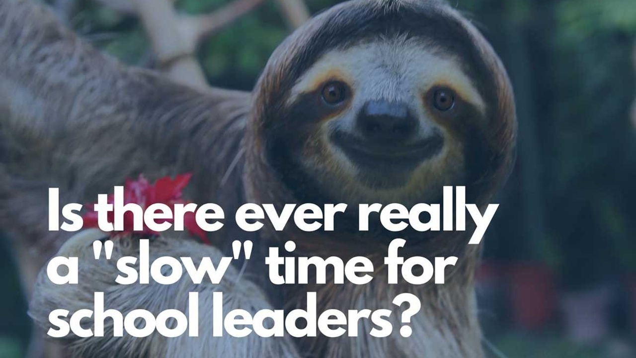 sloth with quote