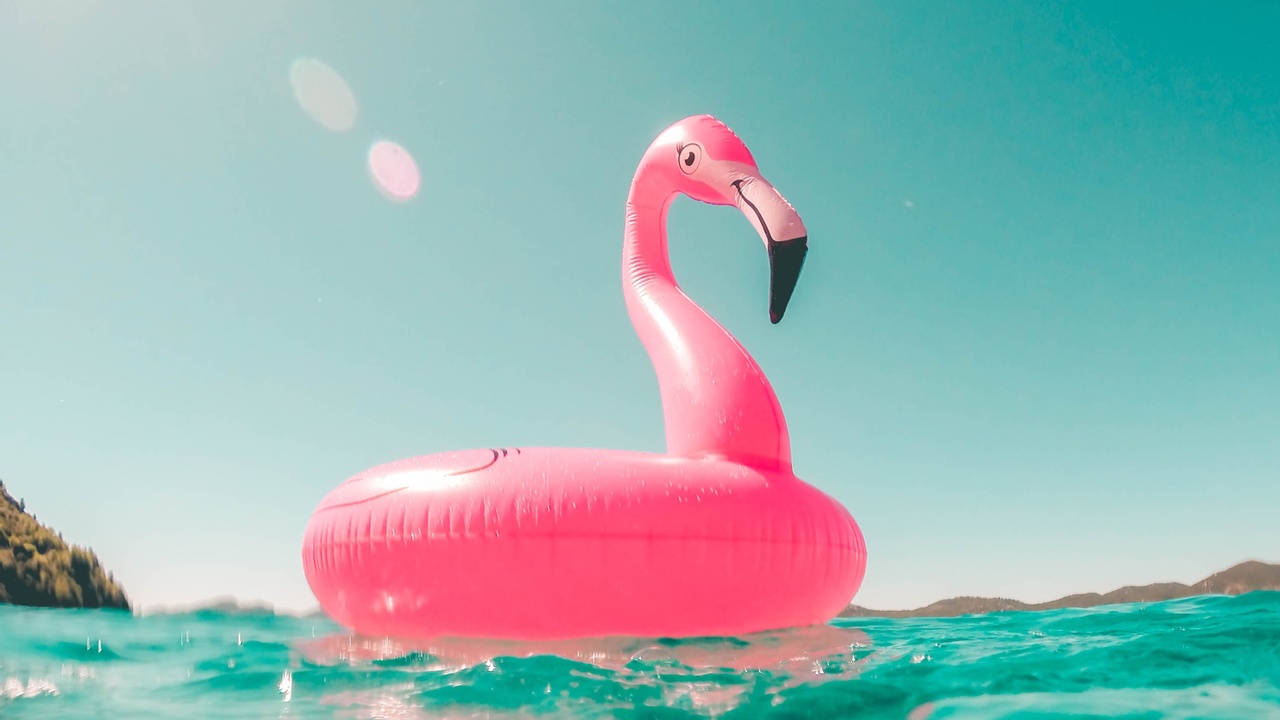 flamingo floaty on vacation