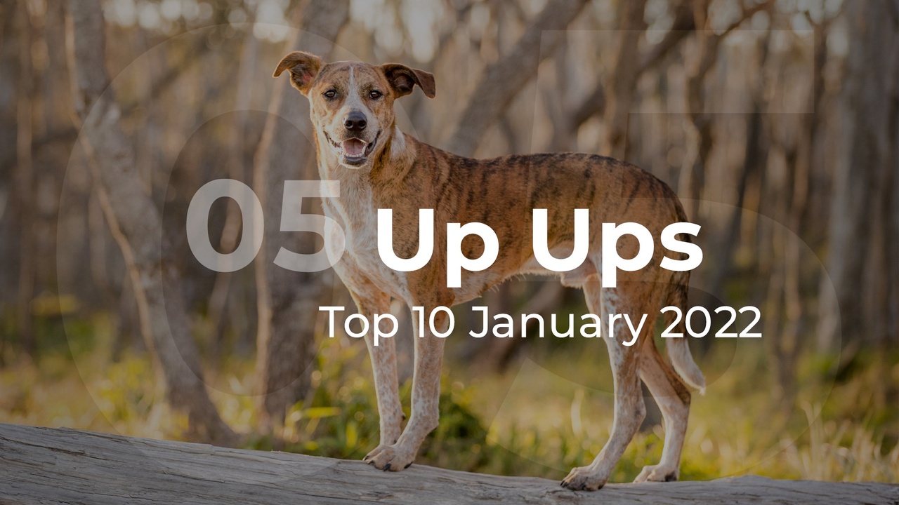 Up Ups Top 10 January 2022