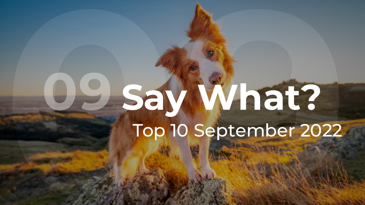 Say What? Top 10 September 2022