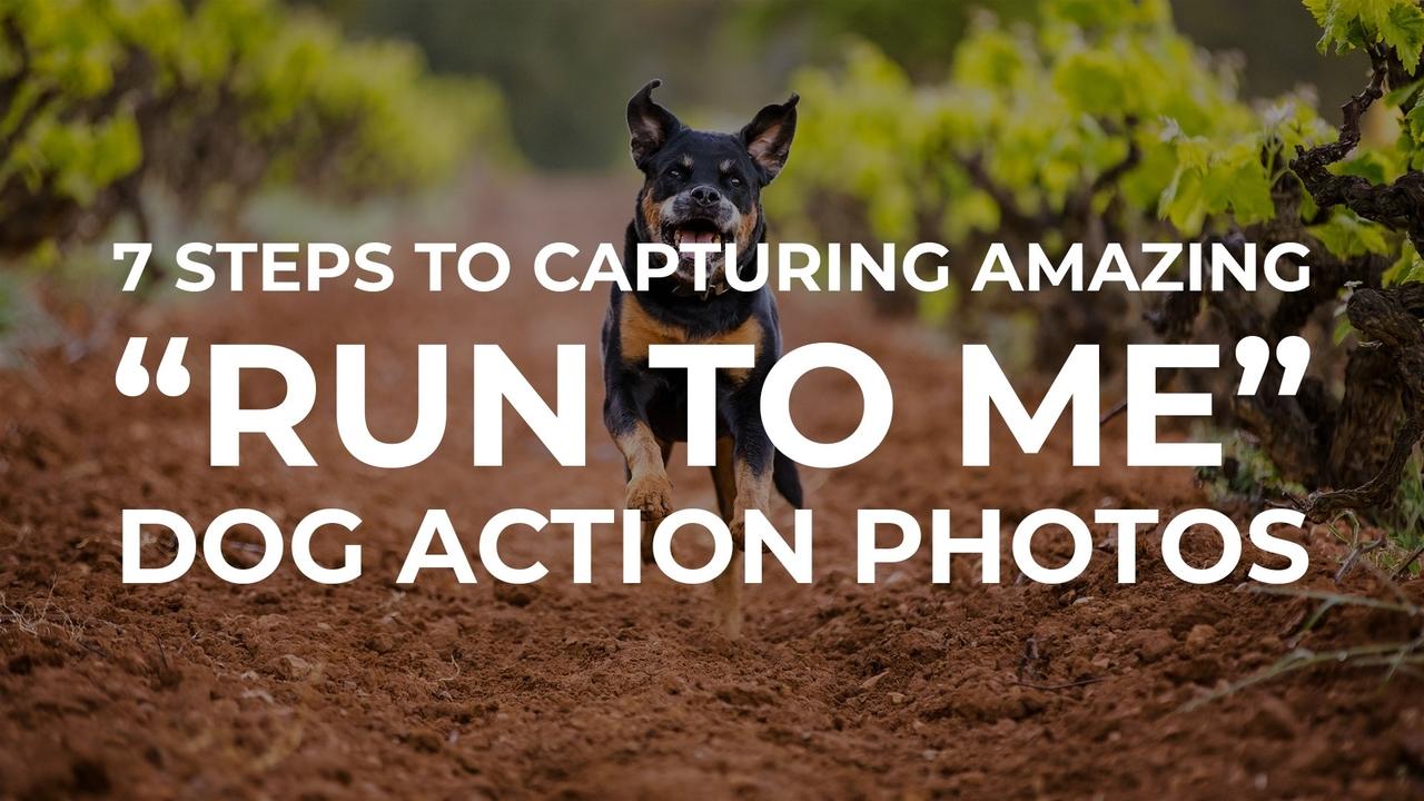 7 Steps to Capturing Amazing 