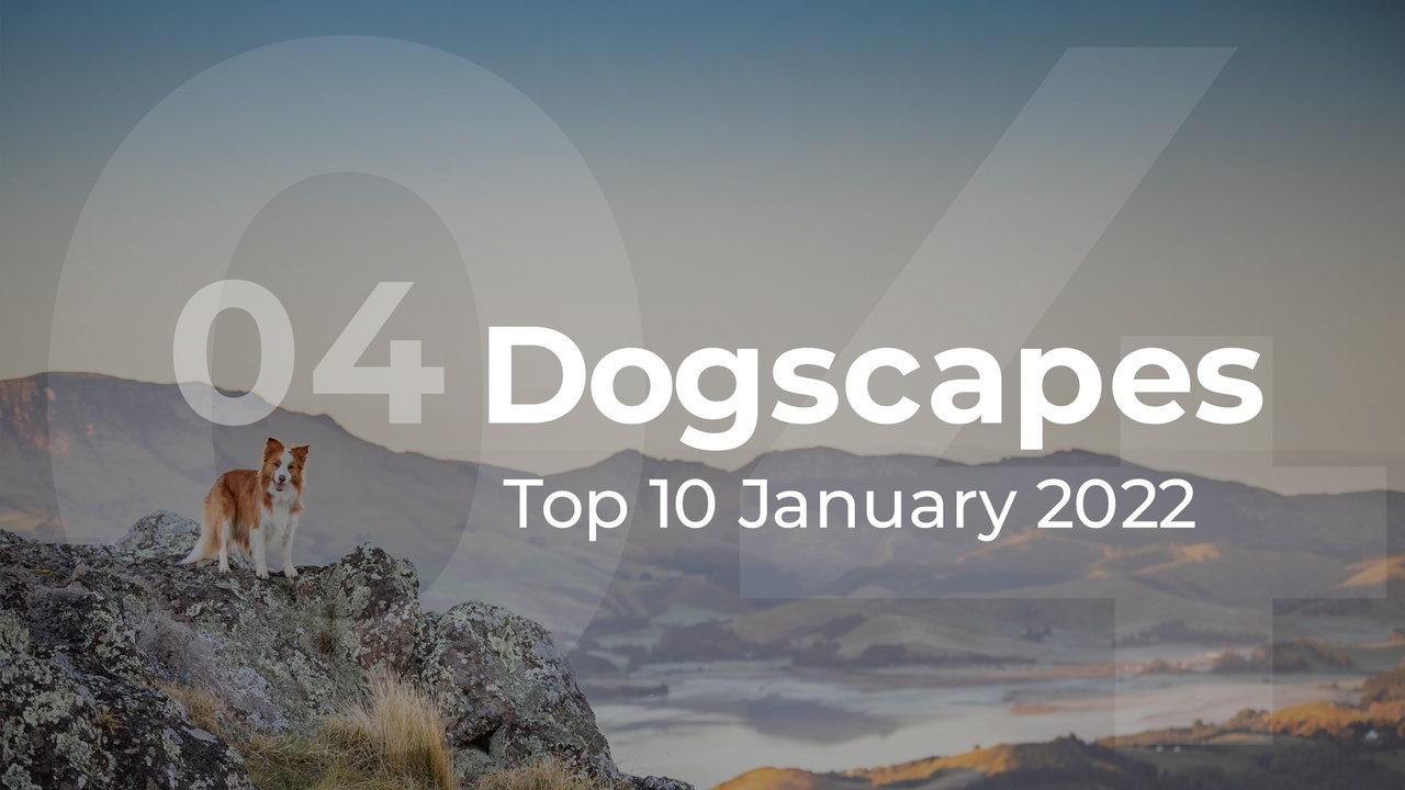 Dogscapes Top 10 January 2022