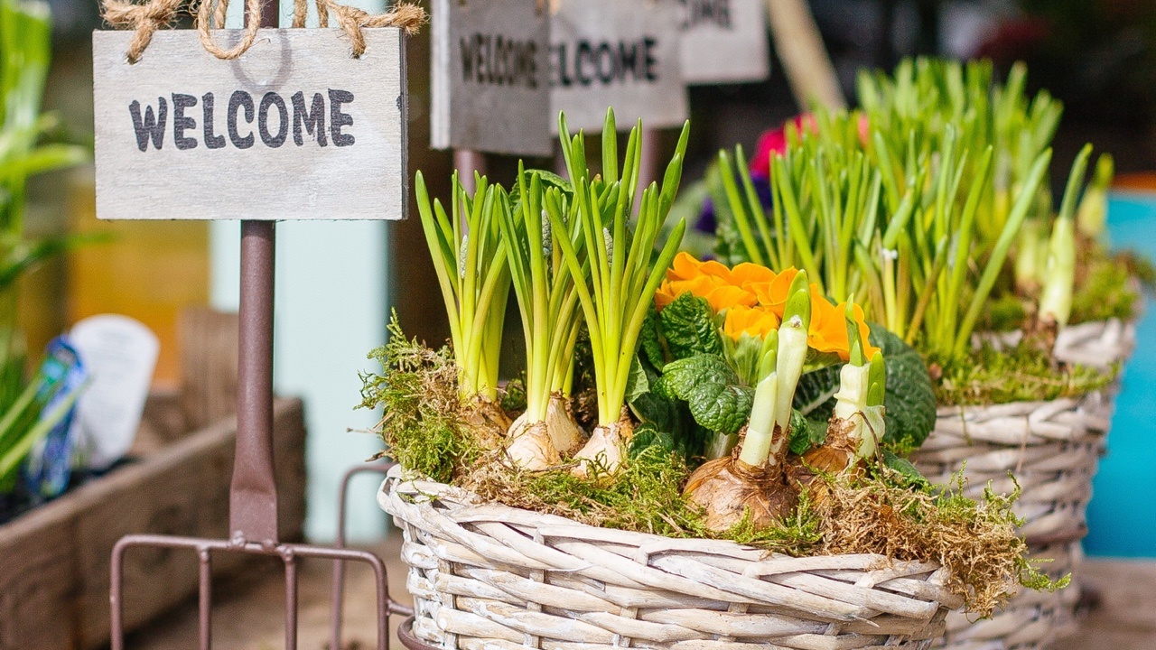 Favorite Spring Vegetables and What to do with Them