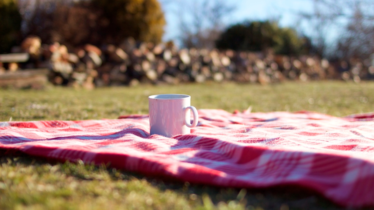 Lessons Learned on a Picnic Blanket in a Town of Twelve