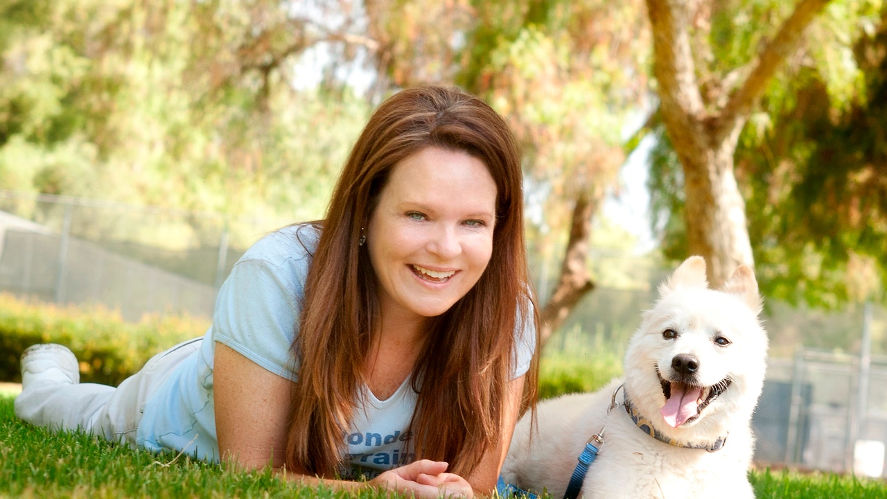 How Do I Start A Successful Dog Training Business