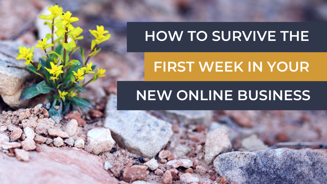 Surviving your first week in online business - business growth advice