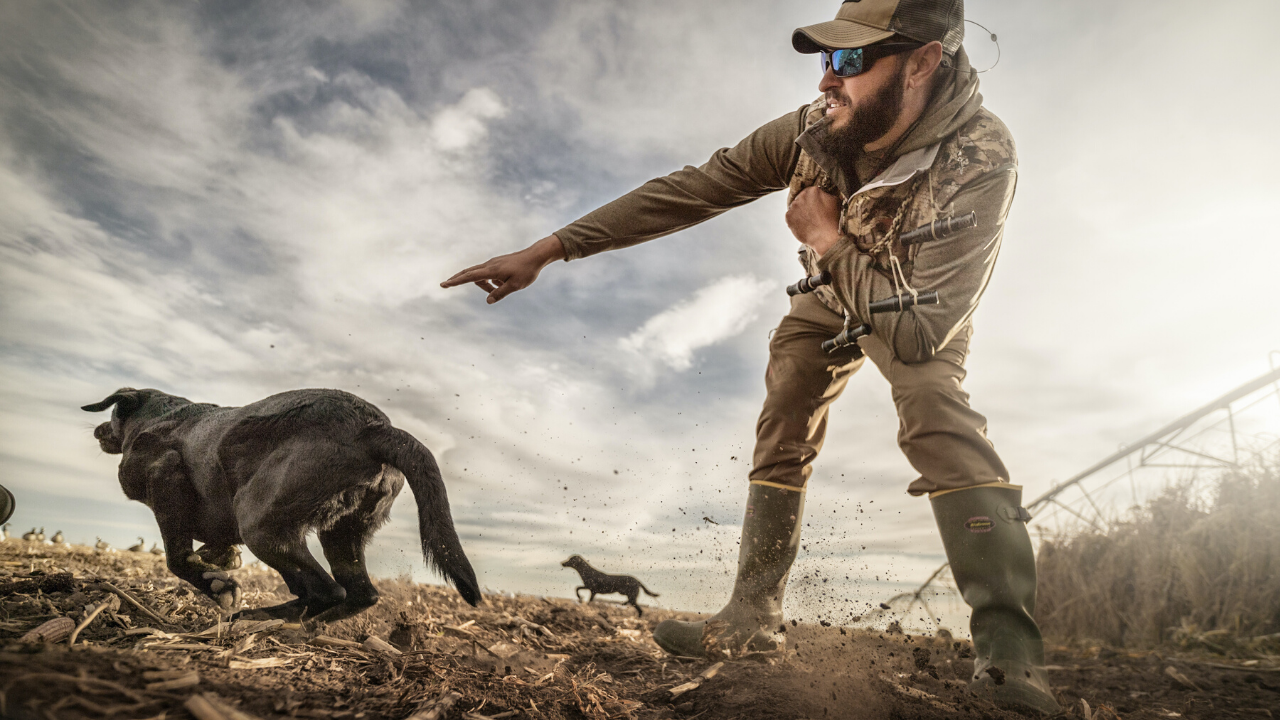 How Do I Choose A Good Dog Breeder