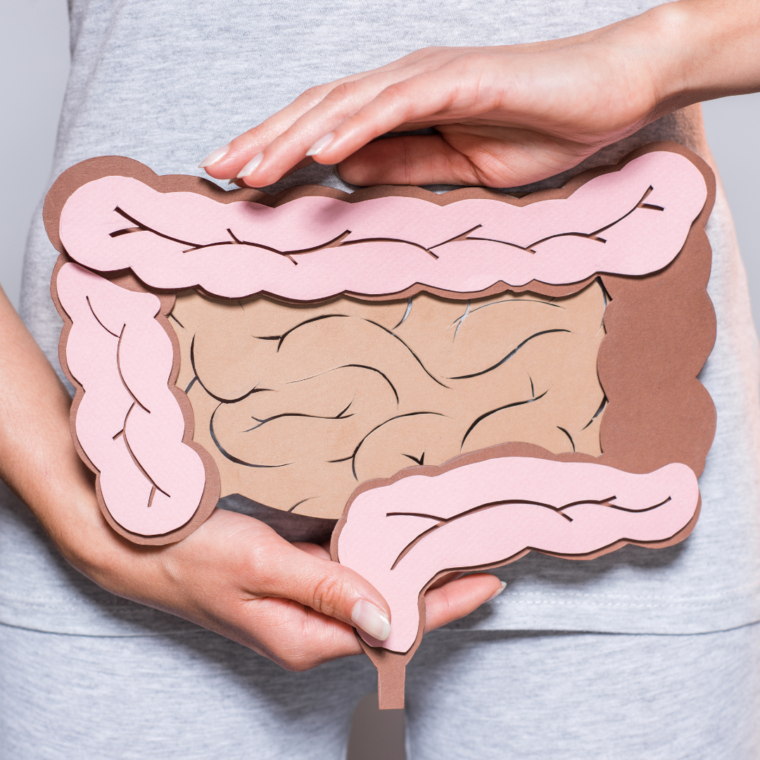 woman holding a plastic cutout of the colon and intestines