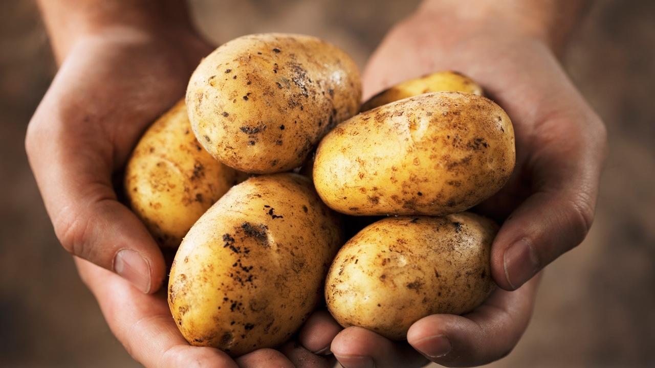 potatoes