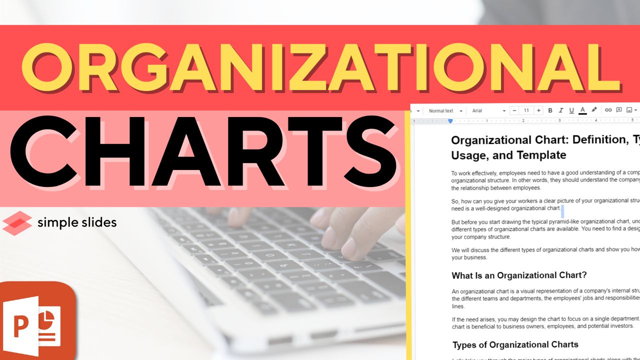 Organizational Chart: Definition, Types, Usage, and Template