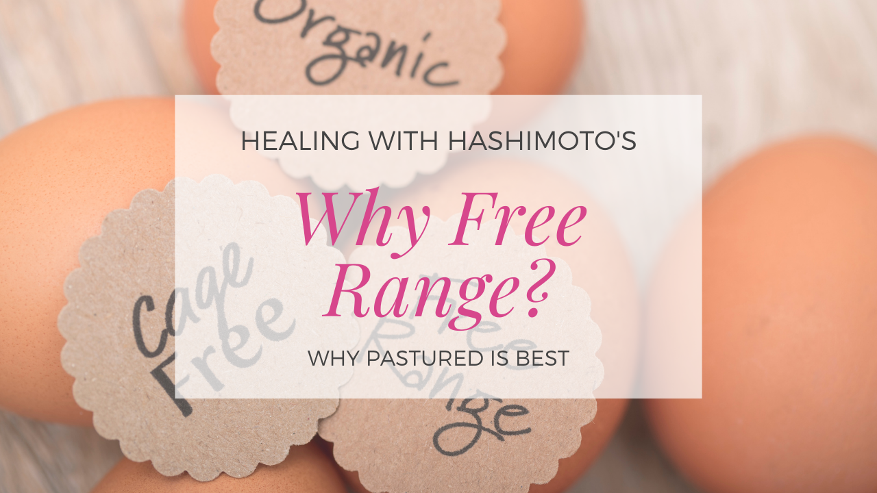 Why Free Range ?