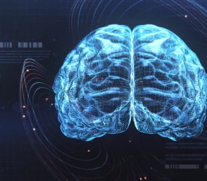 Concussions inside the skull