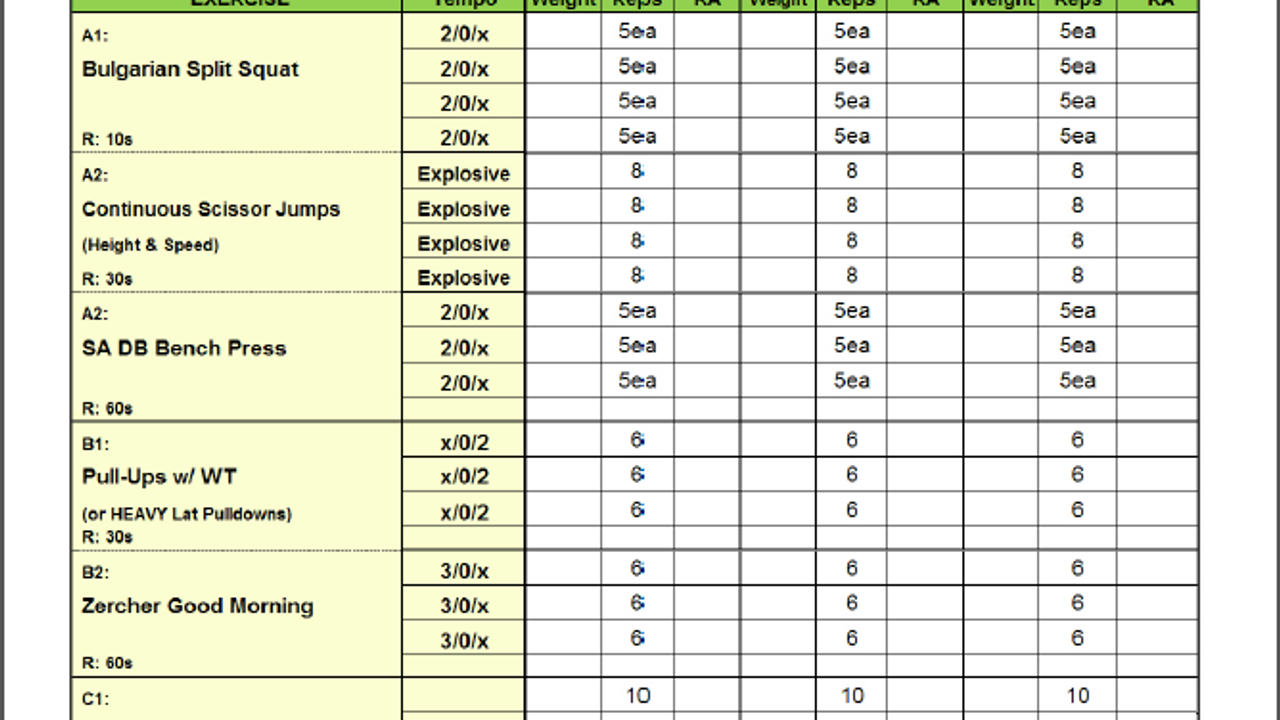 MMA Strength and Conditioning Workout Template