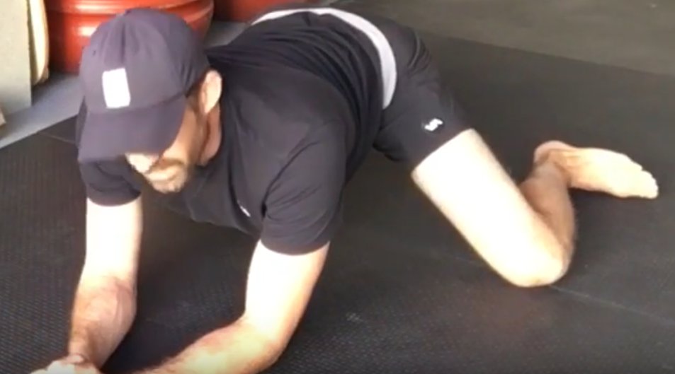 Quadruped Groin Stretch