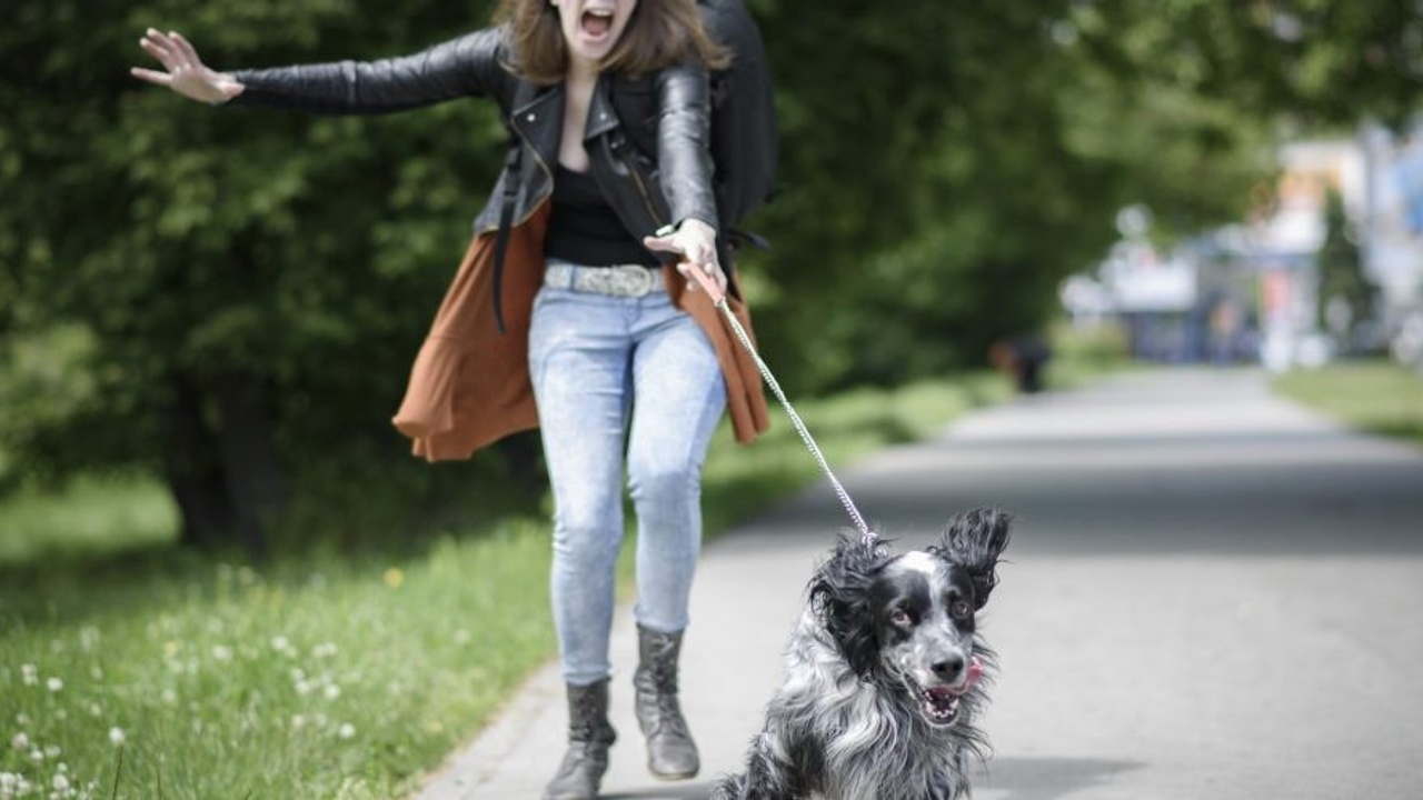 Woman being pulled on leash