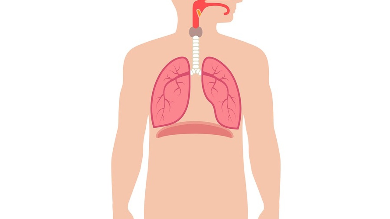 Breathe Better: Use Your Nose