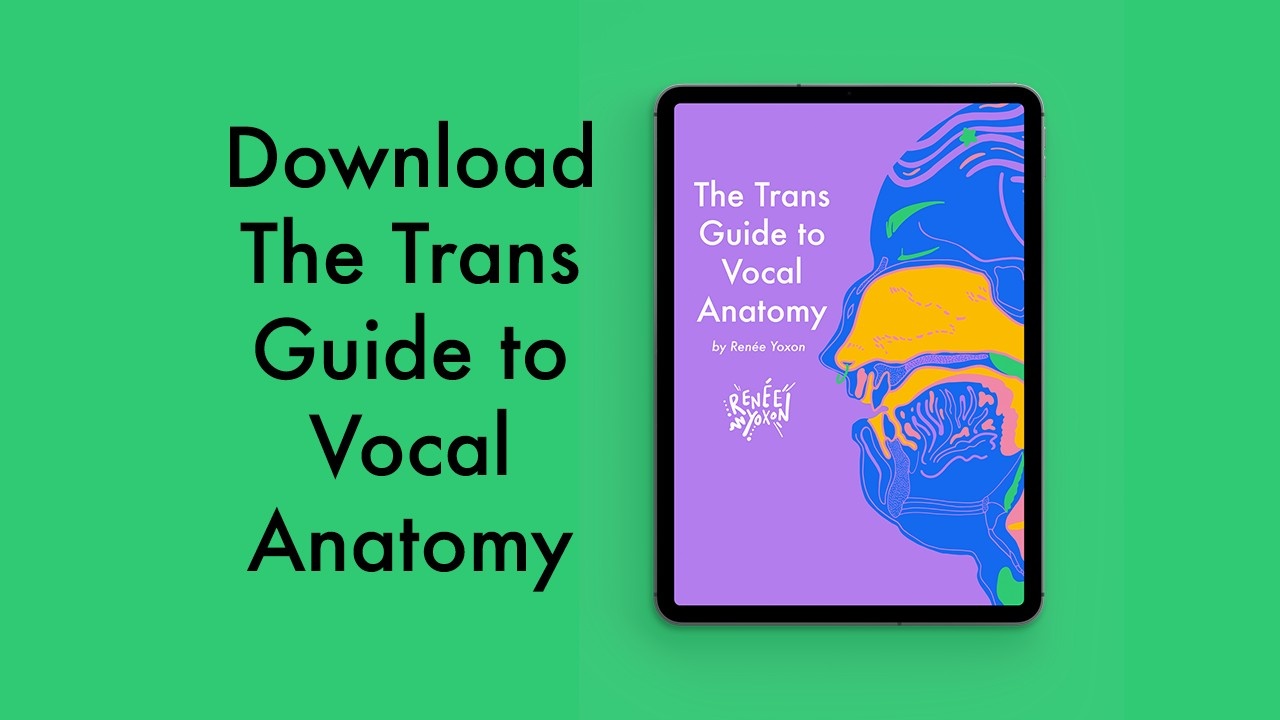 Download the Trans Guide to Vocal Anatomy