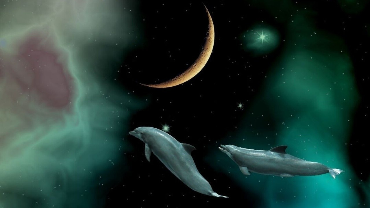 March 2022 Astro-Highlights. Two dolphins swimming towards a crescent moon in a green cloudy night sky.