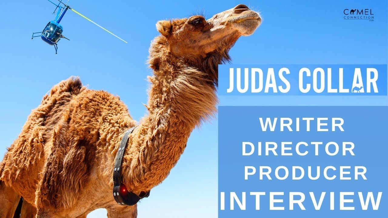 CAMEL FILM JUDAS COLLAR: Interview with Writer, Director & Producer