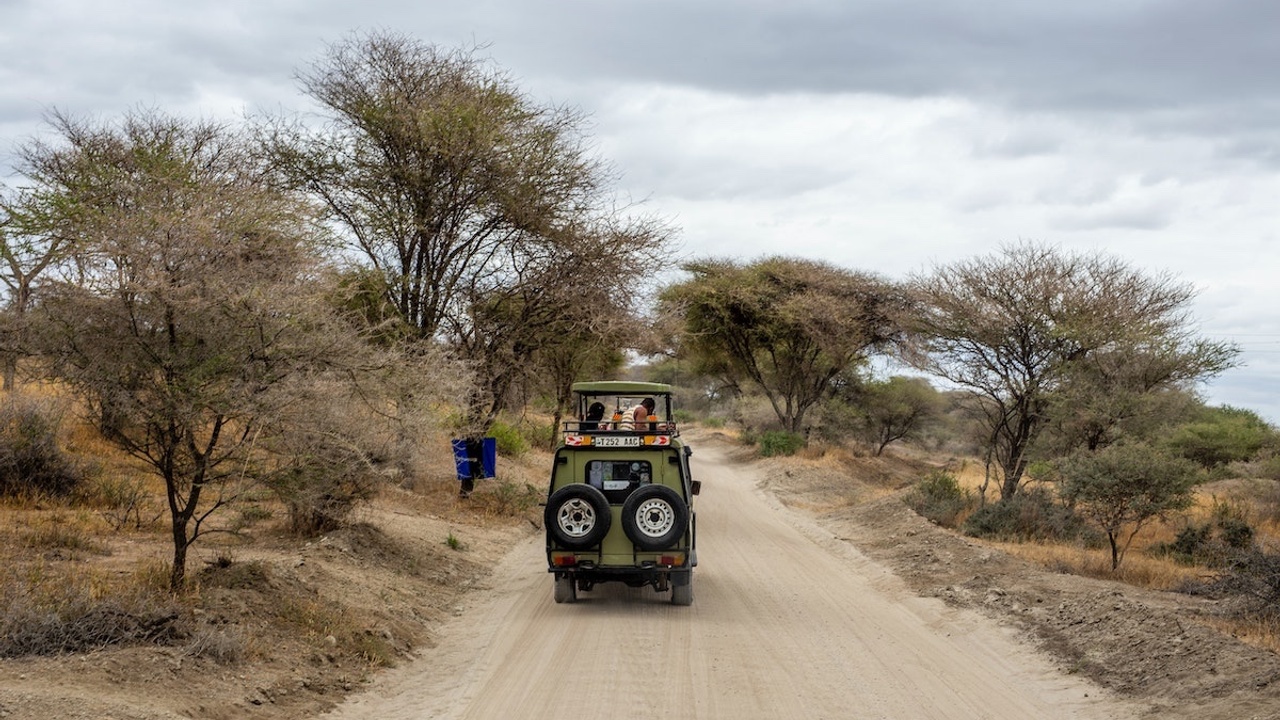 safari jeep on dirt road