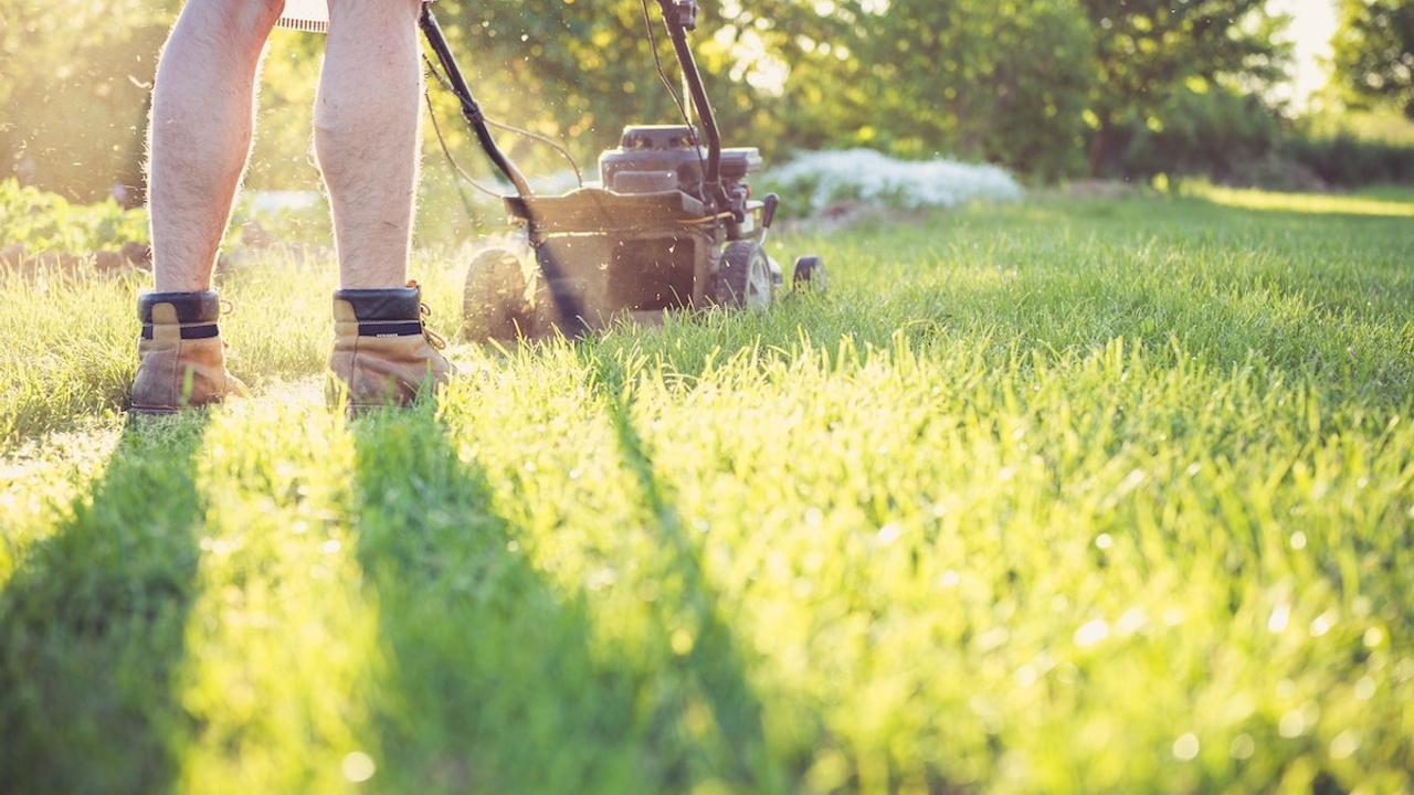 male mowing lawn