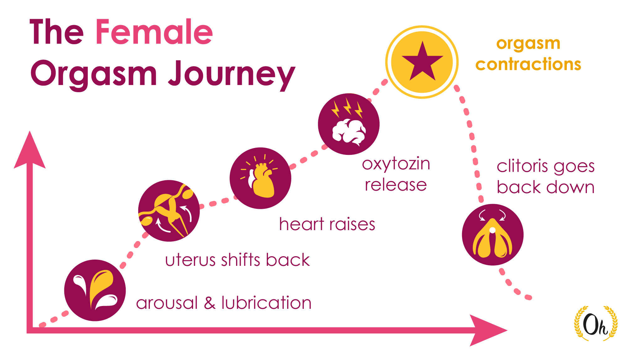 Orgasm Contractions & How Pelvic Floor Training Can Increase Pleasure