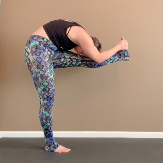 Standing Head to Knee Pose - Bull and Bow