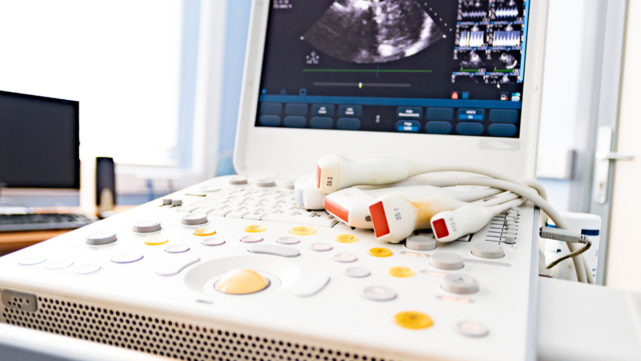 veterinary ultrasound machine and probes 