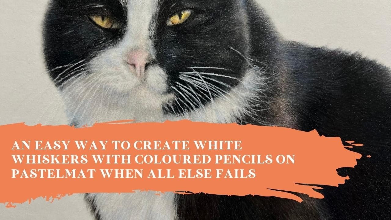 An Easy Way to Create White Whiskers with Coloured Pencils on Pastelmat When All Else Fails - Blog - Bonny Snowdon Academy