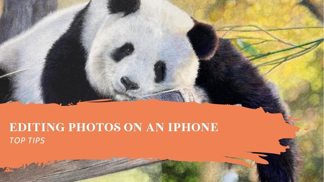 Editing Photos of Your Artwork on an iPhone - Blog - Bonny Snowdon Academy